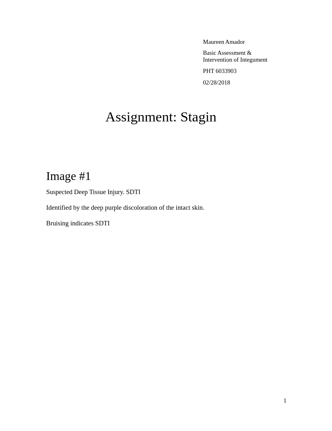 Assignment. Stagin.docx_dc3avgi68kp_page1