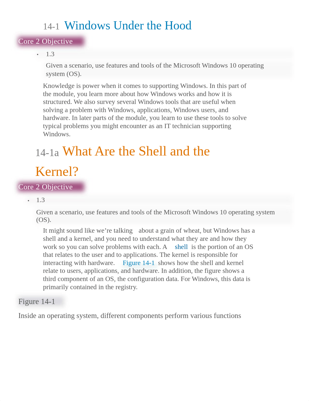 Ch 14 Troubleshooting Windows text.pdf_dc3ddj44xiu_page1