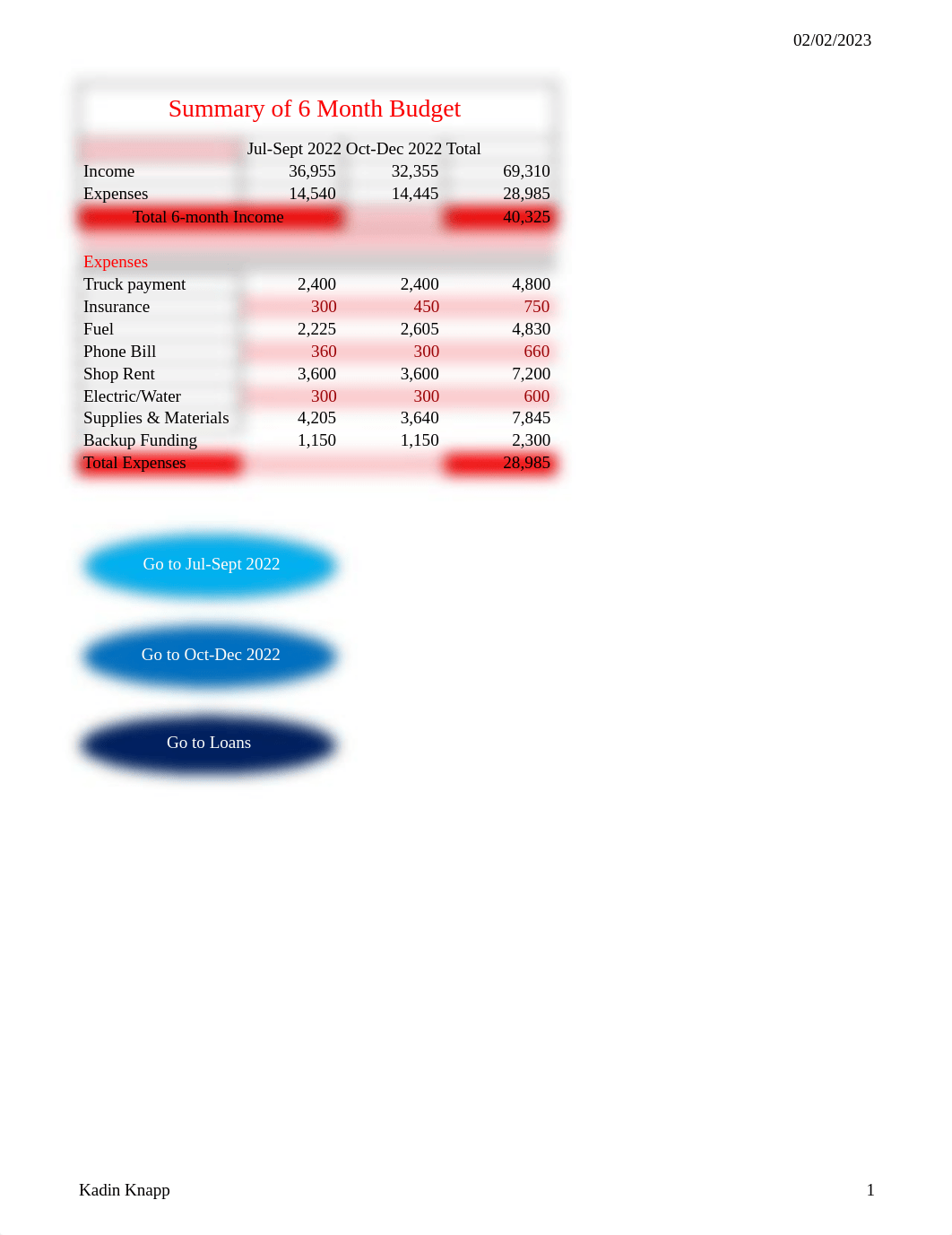 KNAPP Budget Formula View.xlsm_dc3hdlt8d6b_page1