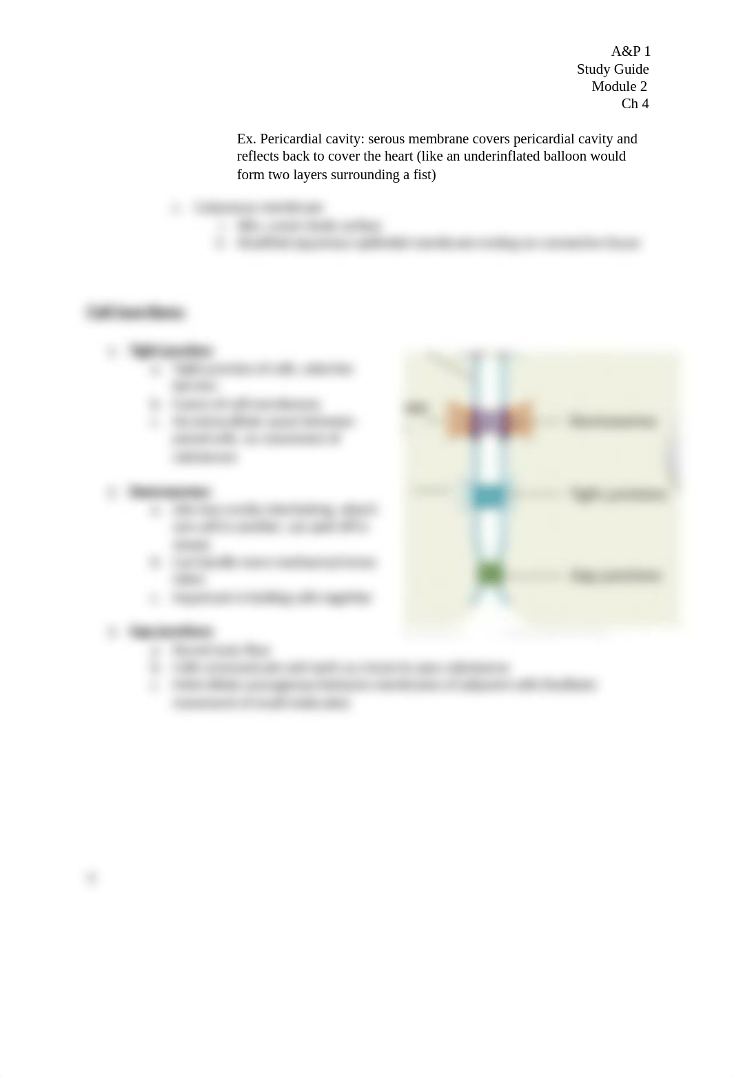 Study Guide 2 Tissues (1).docx_dc3lb4fgeox_page3