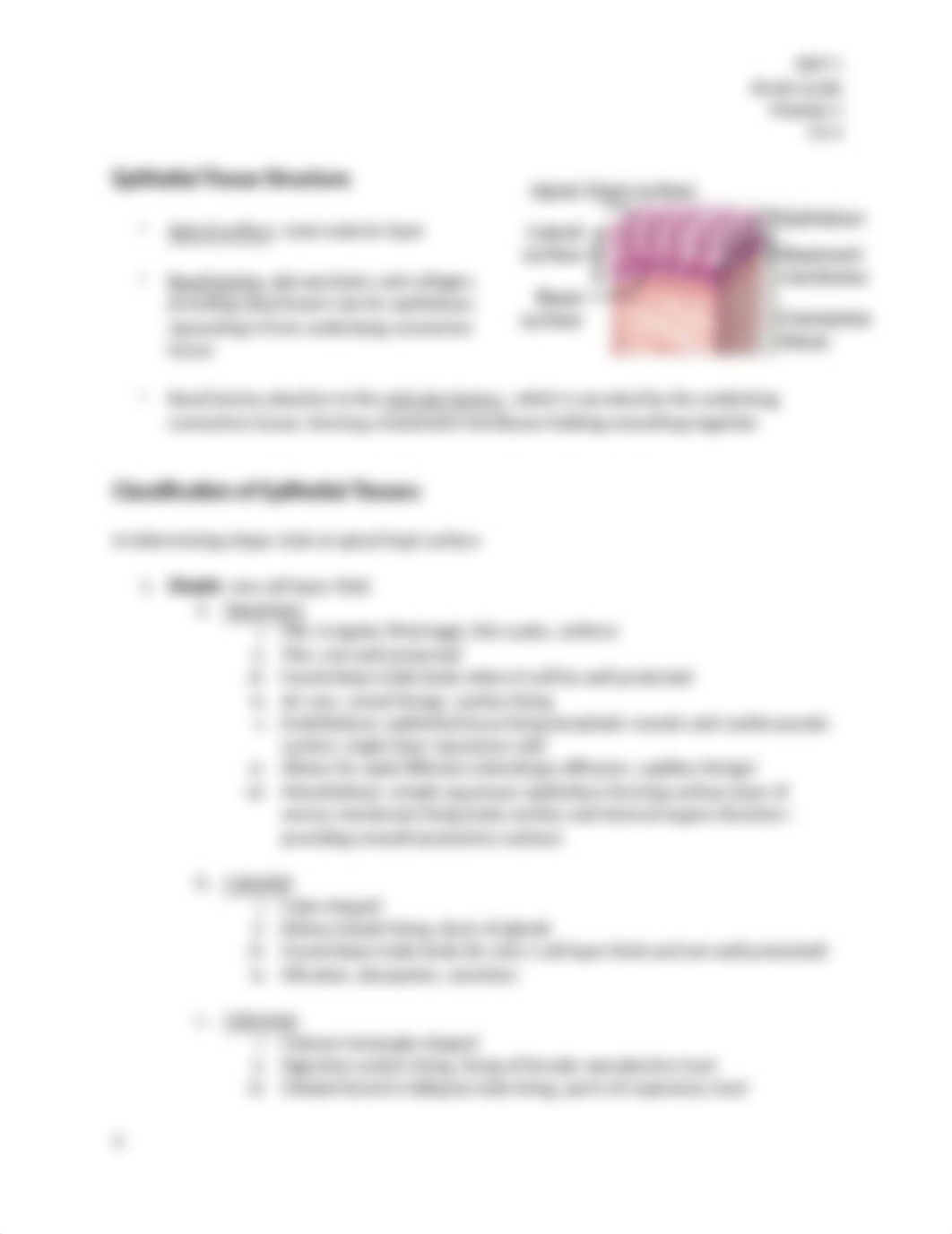 Study Guide 2 Tissues (1).docx_dc3lb4fgeox_page4