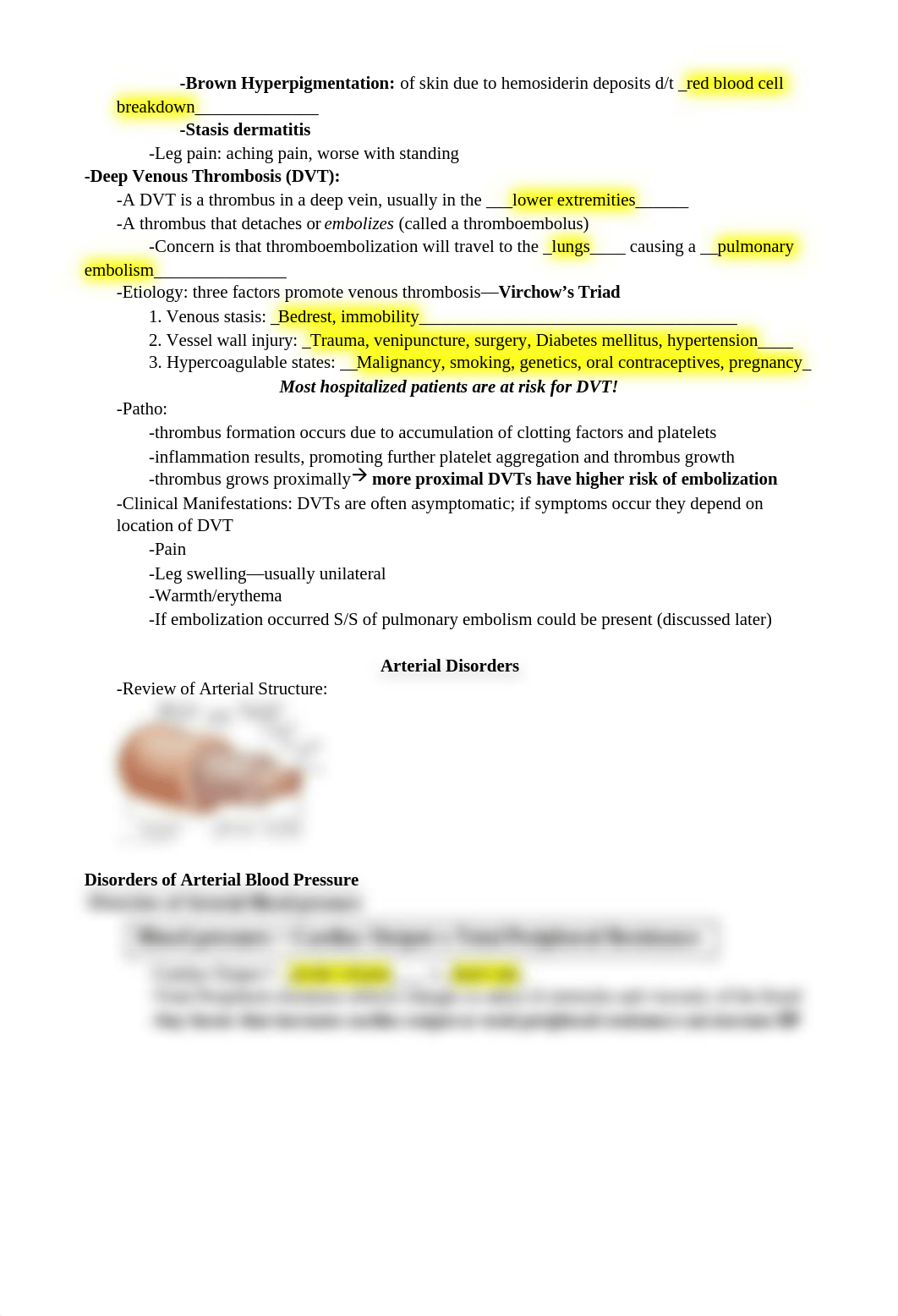 Cardiovascular Disorders I Class notes 2020 ANSWERS.docx_dc3v6yz4t5m_page2