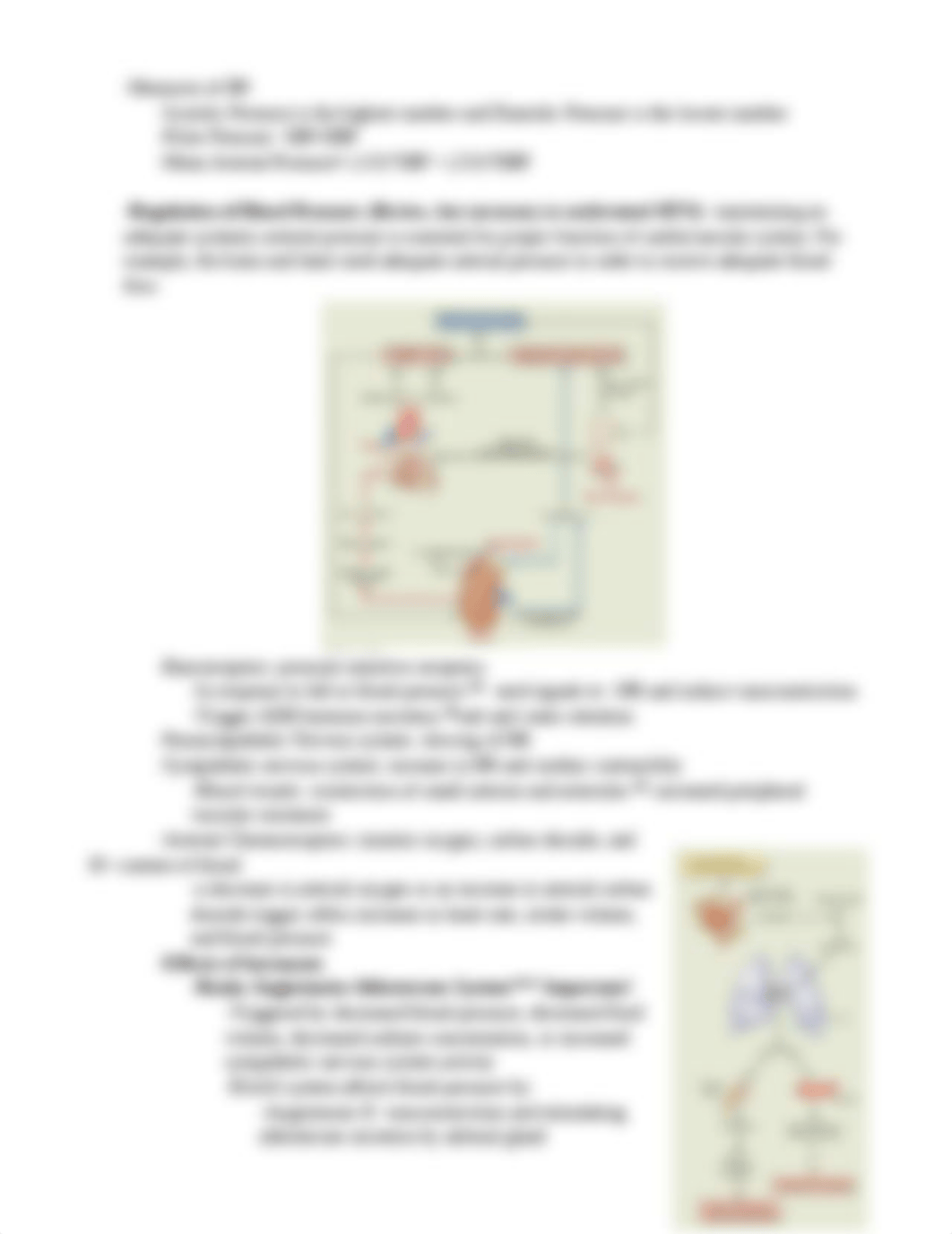 Cardiovascular Disorders I Class notes 2020 ANSWERS.docx_dc3v6yz4t5m_page3