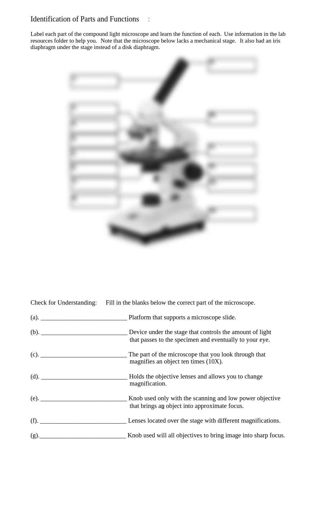 Microscope_and_Eukaryotic_Cells_MH.pdf_dc4bphgv9tm_page2