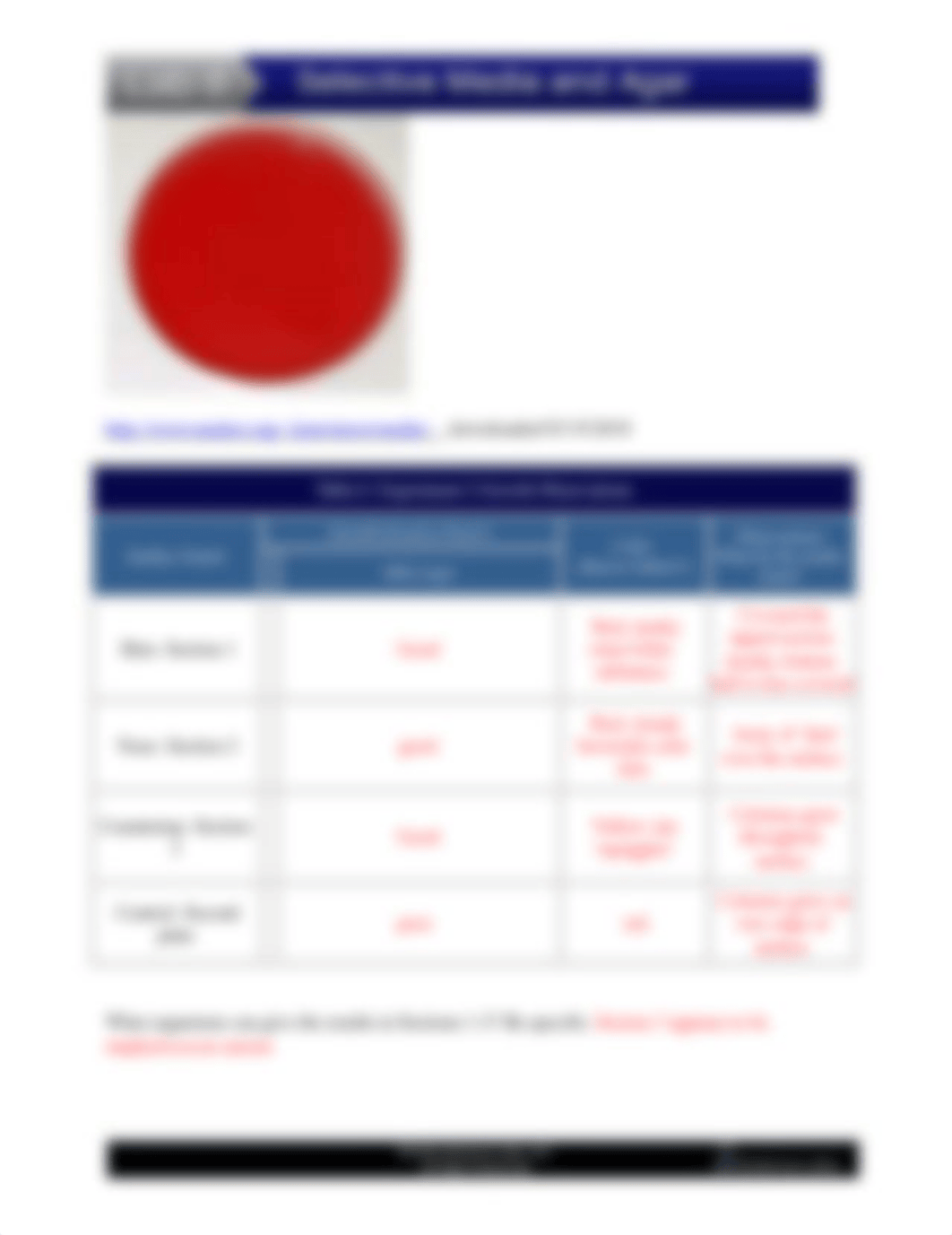 BIO 253 Lab 8.doc_dc4fnosf83k_page2