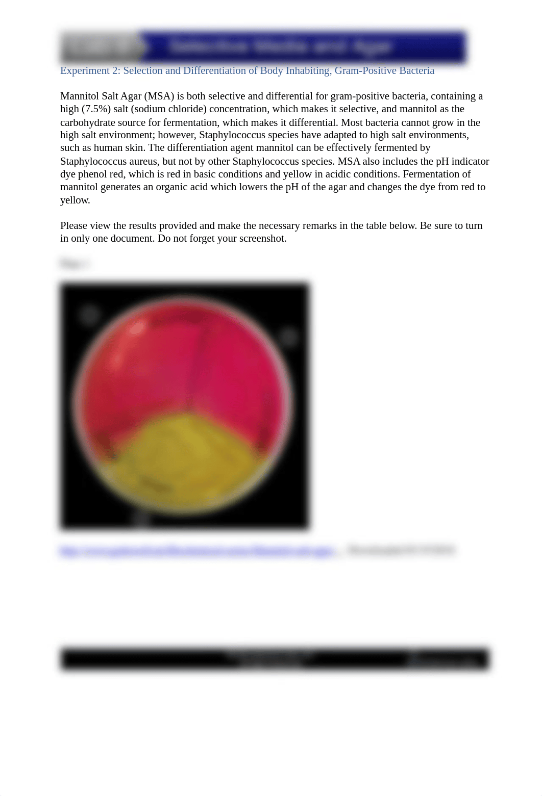 BIO 253 Lab 8.doc_dc4fnosf83k_page1