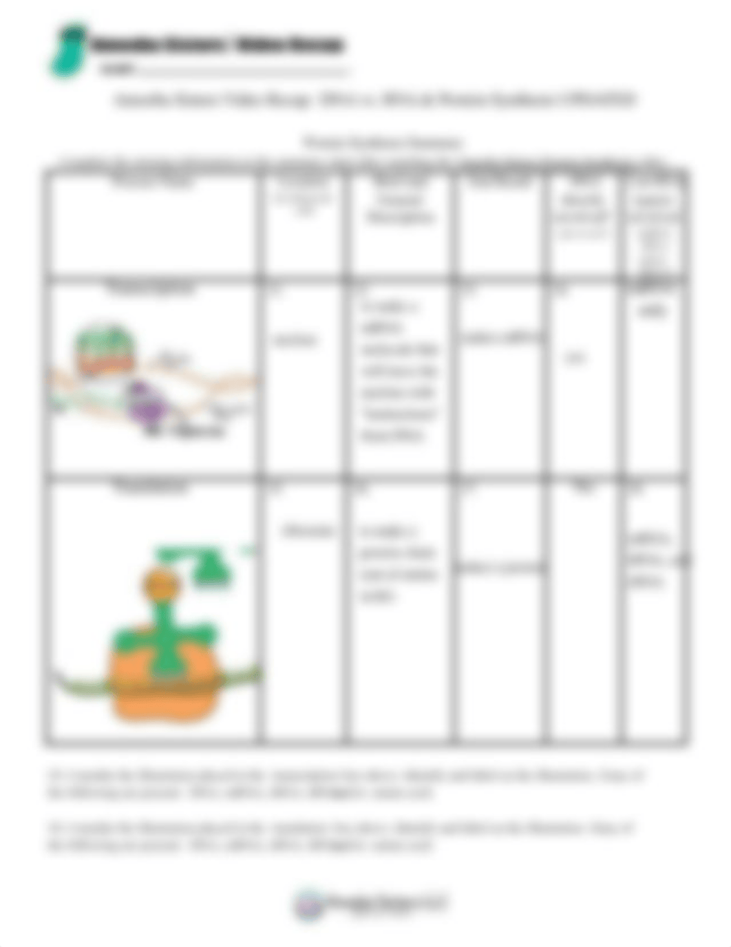 Kami Export - NISA SAINTUS - dna_vs_rna_and_protein_synthesis_updated_recap_by_amoeba_sisters.pdf_dc4gfb1634w_page2