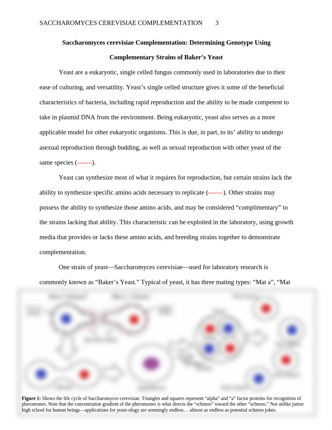 Genetics Yeast Lab Report.docx_dc4gsavj92e_page3