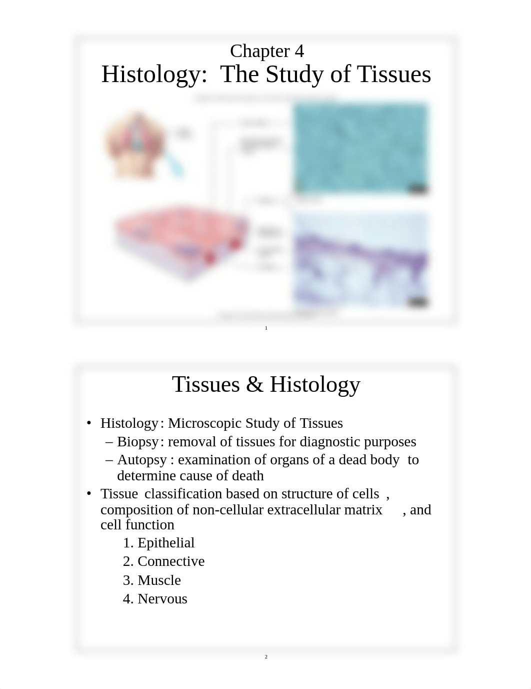 150-04 Tissues_dc4gwj5etug_page1