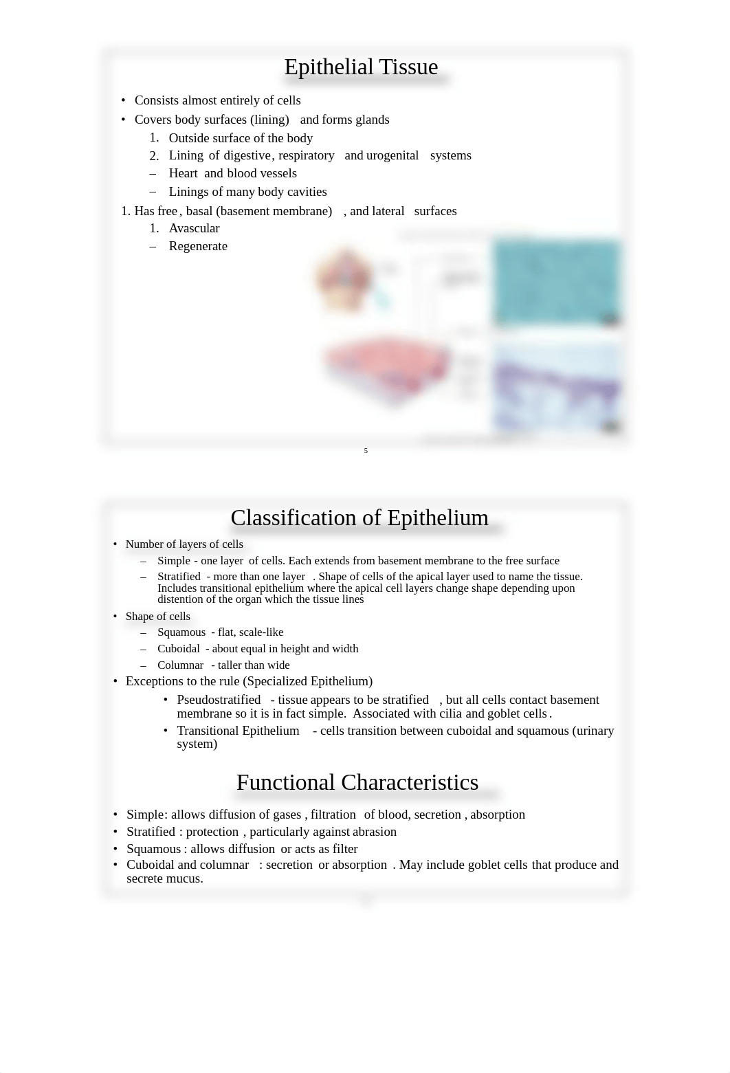 150-04 Tissues_dc4gwj5etug_page3