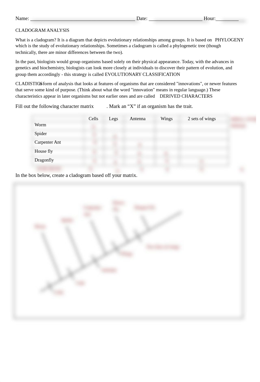 Kami Export -  Cladogram Worksheet.pdf_dc4hh1jot6m_page1