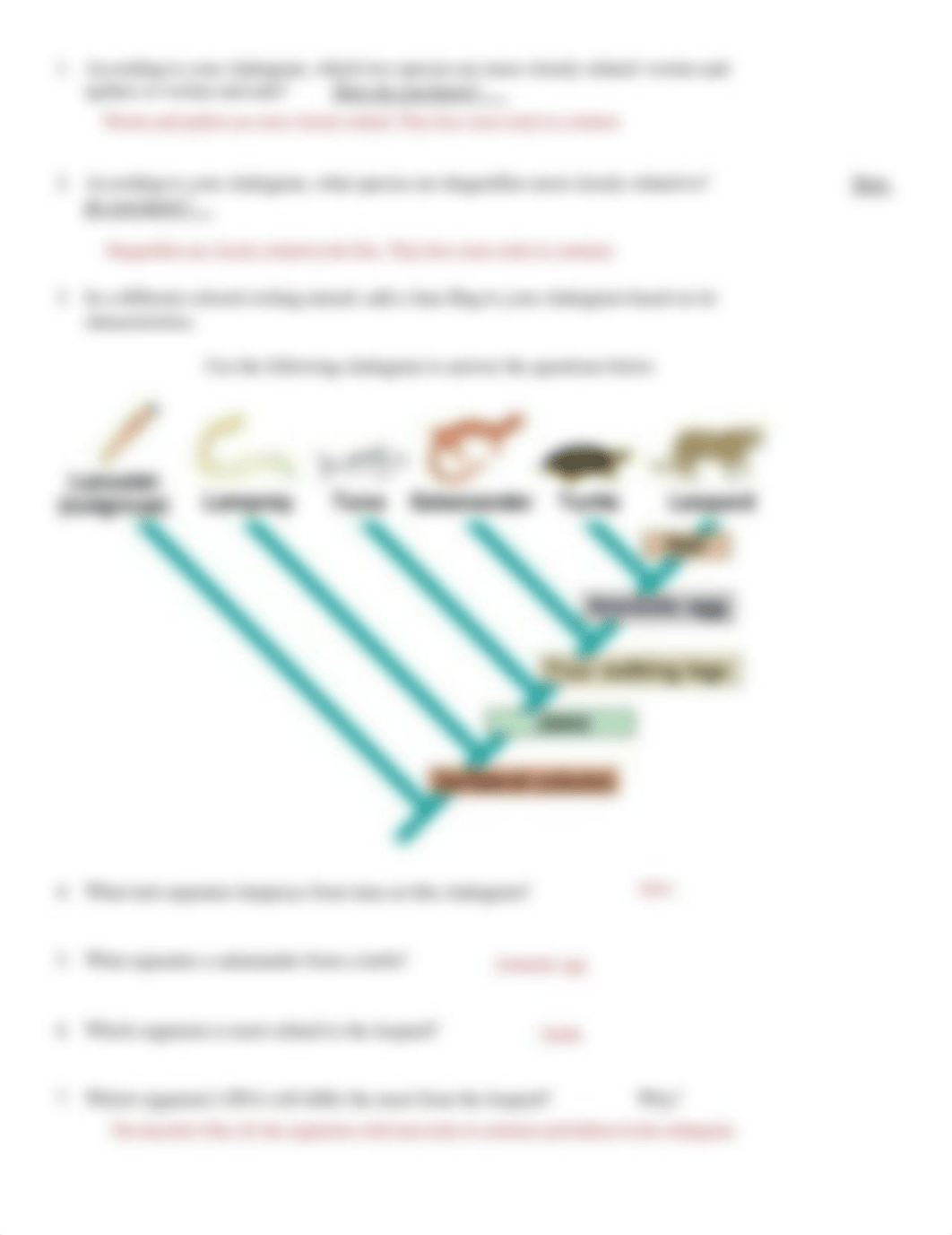 Kami Export -  Cladogram Worksheet.pdf_dc4hh1jot6m_page2