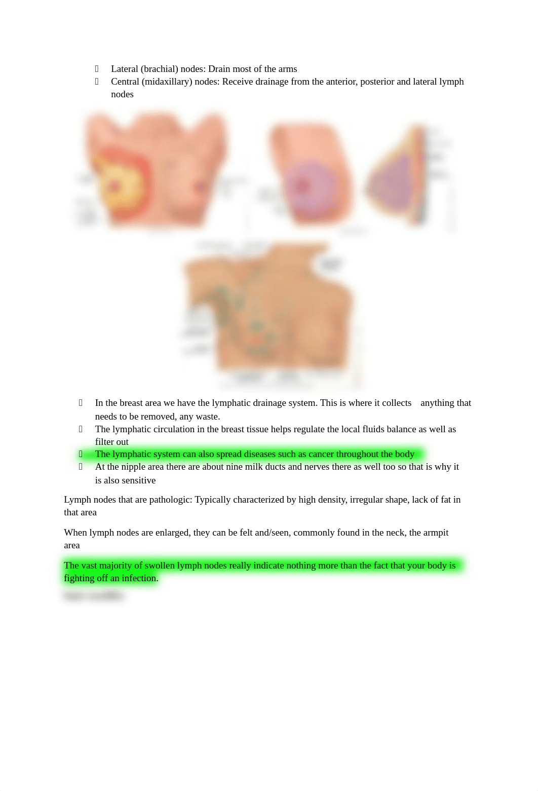 Ch 20 Breasts and Lymphatic System.docx_dc4ut9swhit_page2