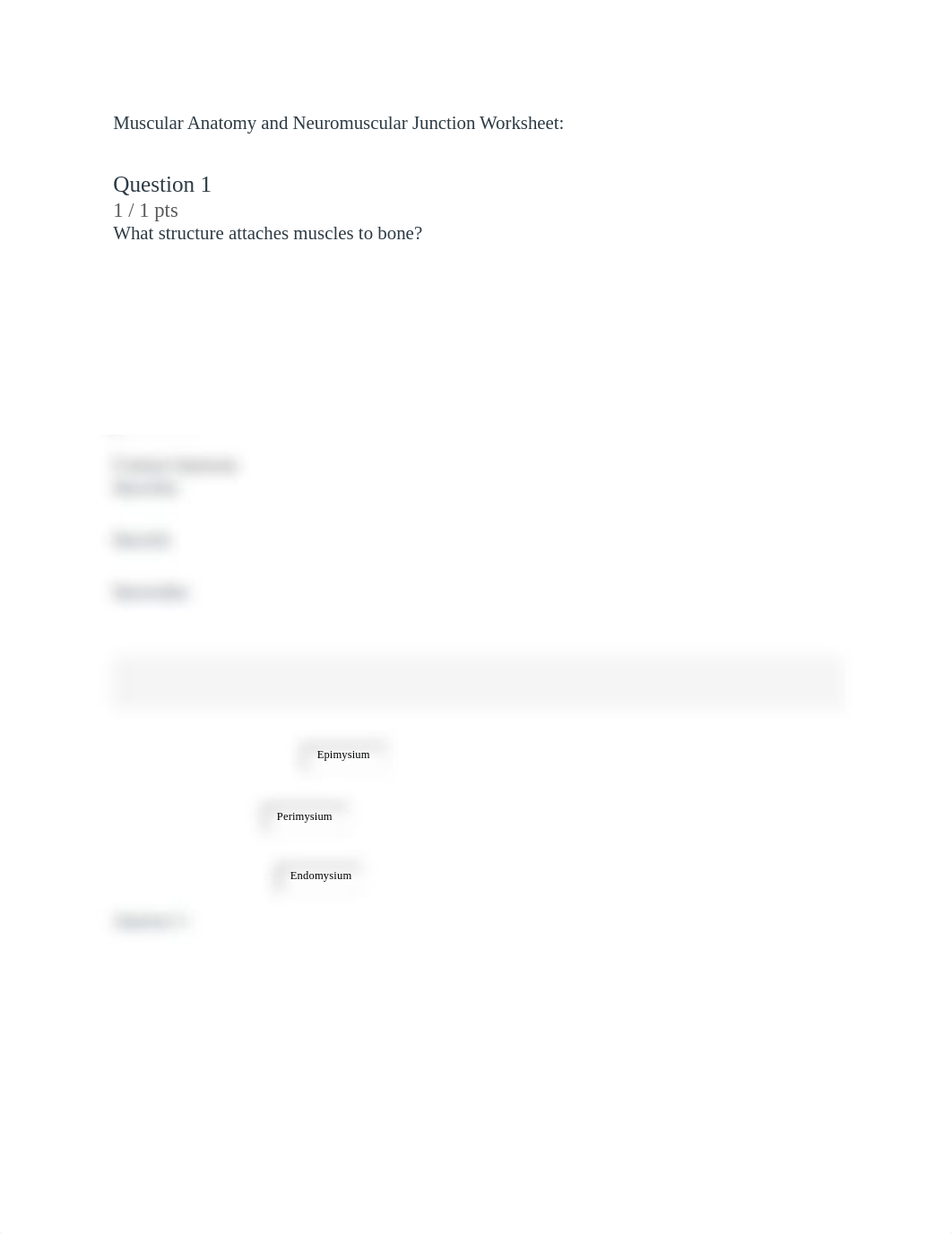 A&P. Muscular Anatomy and Neuromuscular Junction Worksheet.docx_dc4w2eqlojx_page1