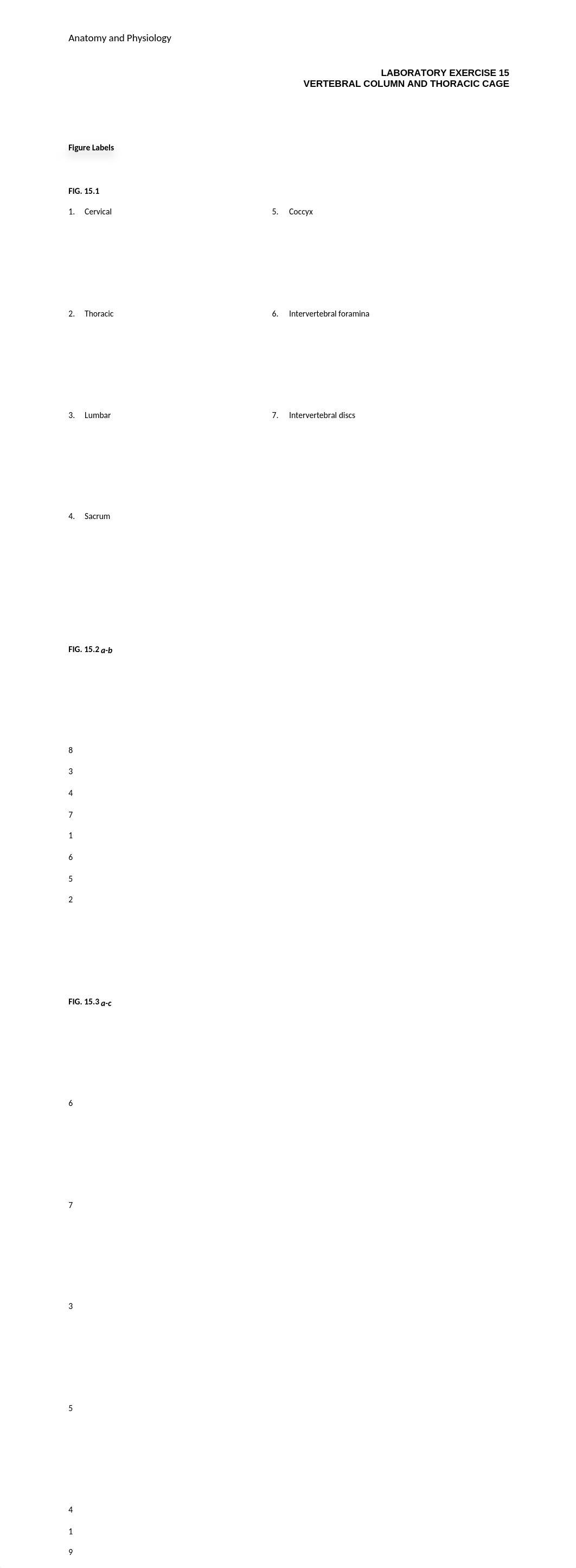 Chapter 7 Practice Labeling Bones KEY.doc_dc50y1xa6g0_page1