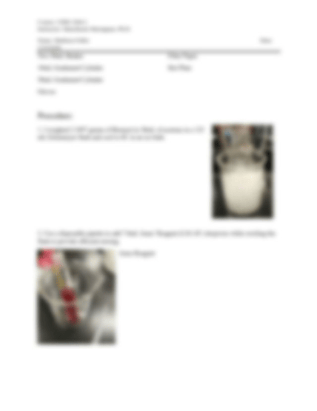 Lab 5 Oxidation of Borneol to Camphor.docx_dc551gsovto_page2