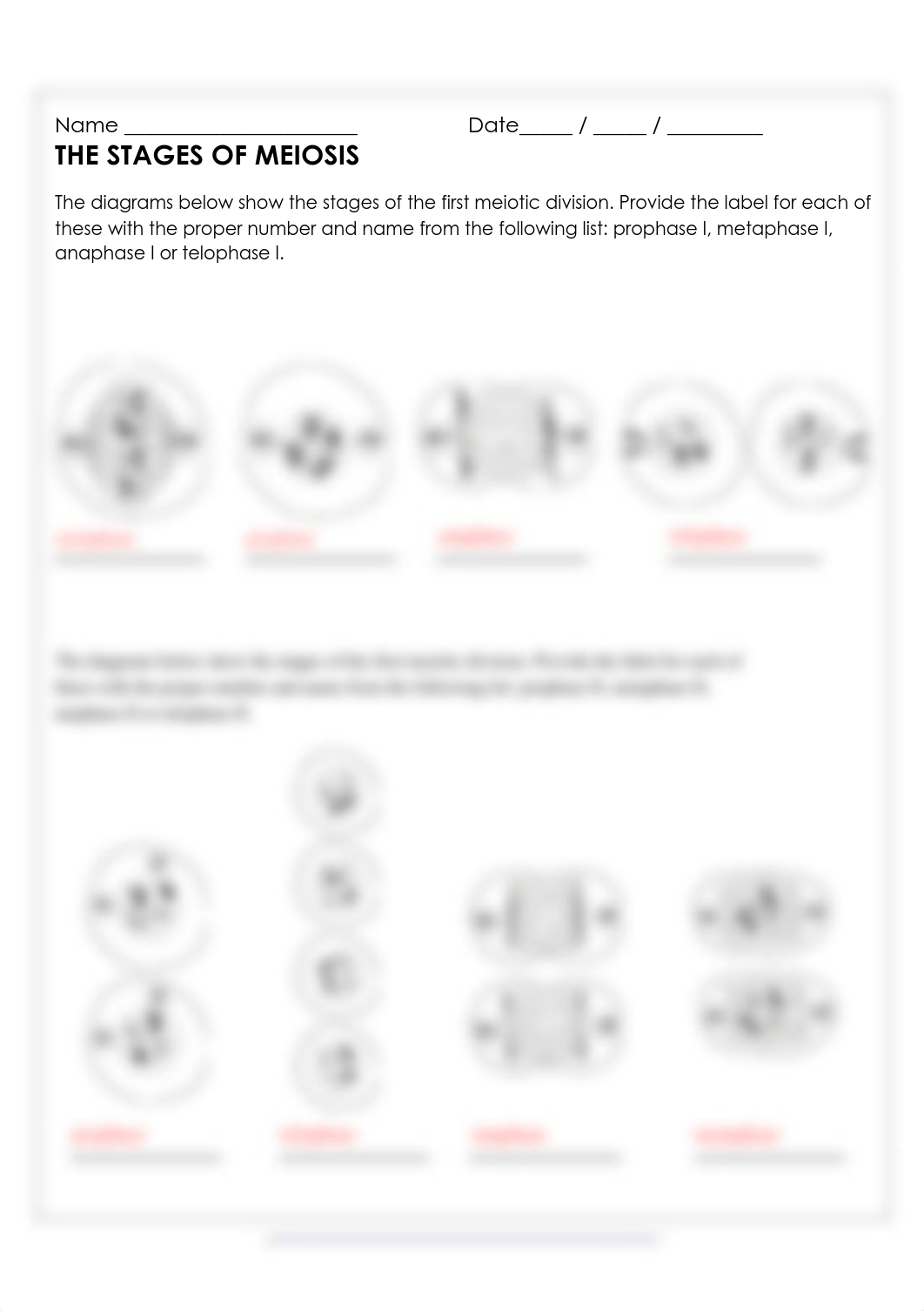 Meiosis Stages homework .pdf_dc5c6un6xry_page1