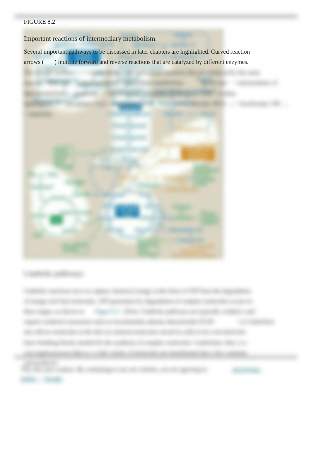 Lippincott Biochemistry Chp 8.pdf_dc5dmuob0kh_page3