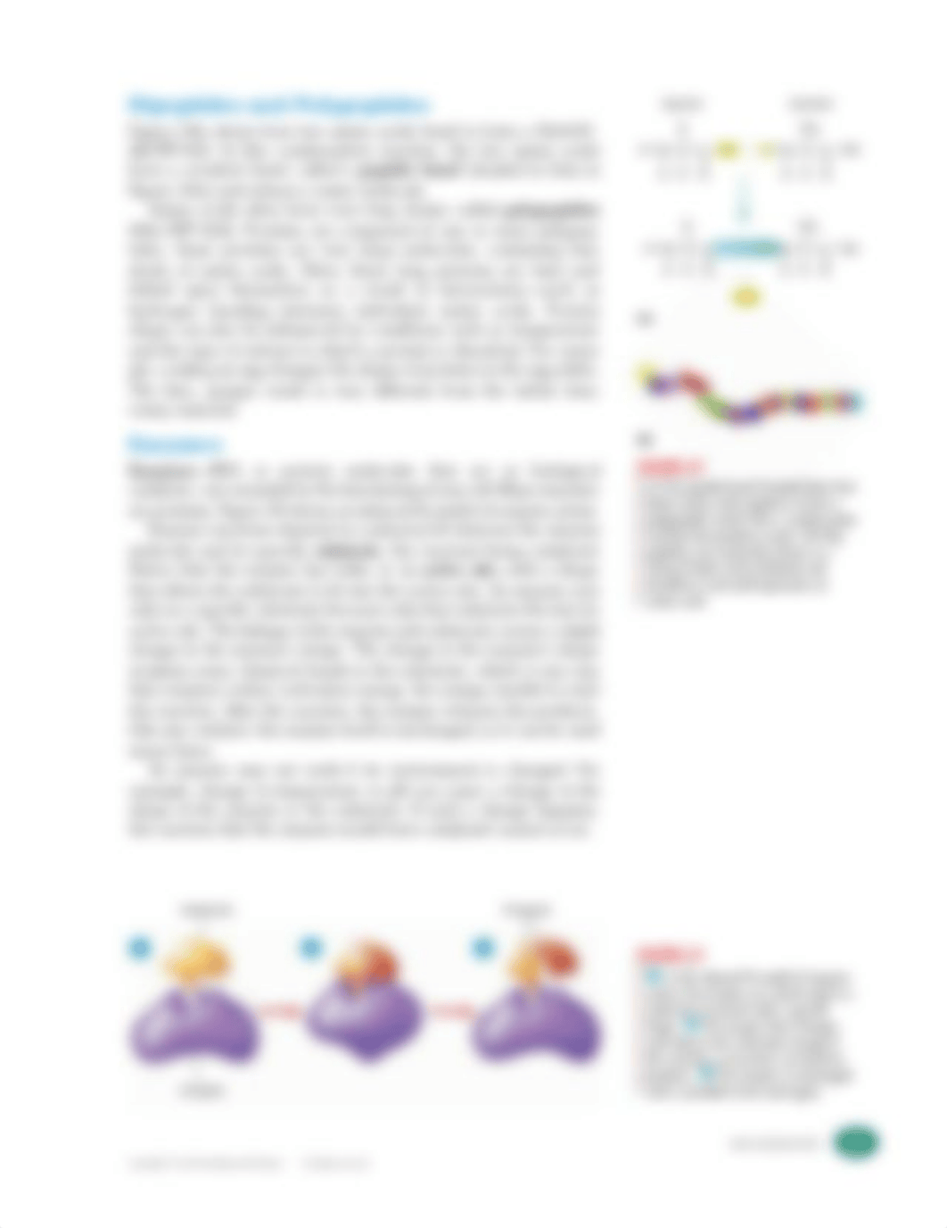 Reading_3-2_Bio-Molecules_of_Life.pdf_dc5i3h3q4kn_page3