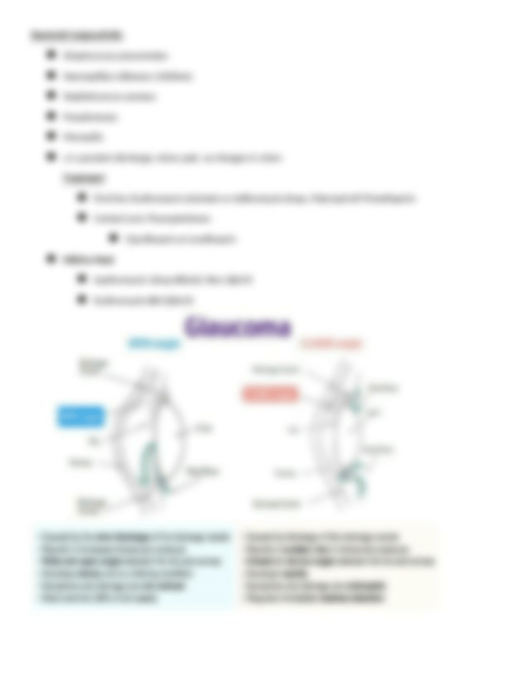 Eye, Ear, Throat, and Mouth Agents.docx_dc5jhztqtt9_page3