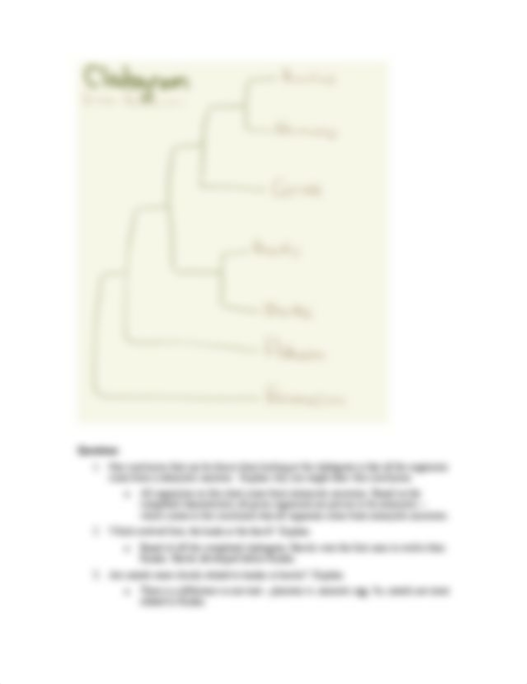 Constructing a Cladogram Activity.doc_dc5mzl7gf8r_page2