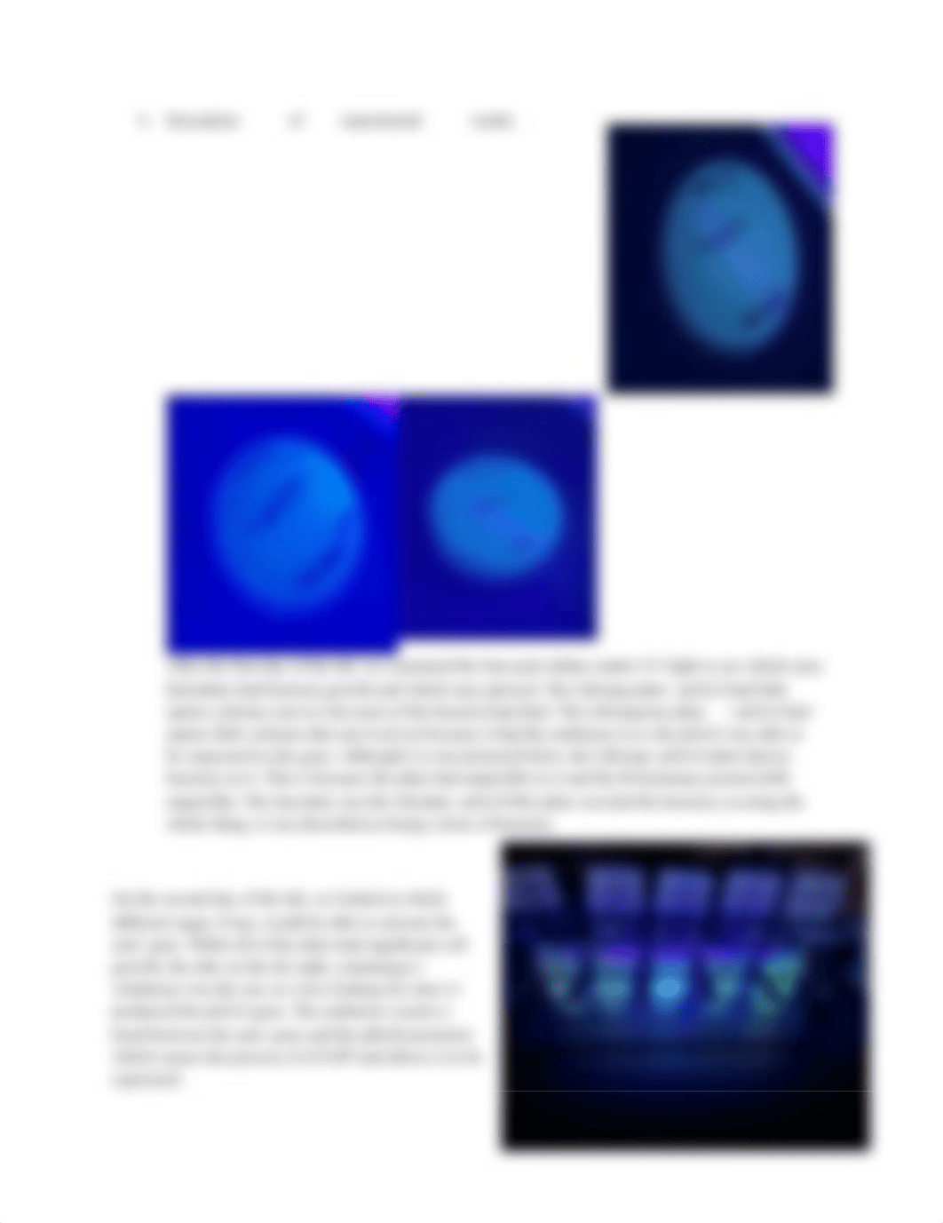 pGLO Lab Write Up.docx_dc5t8rfgrwm_page2