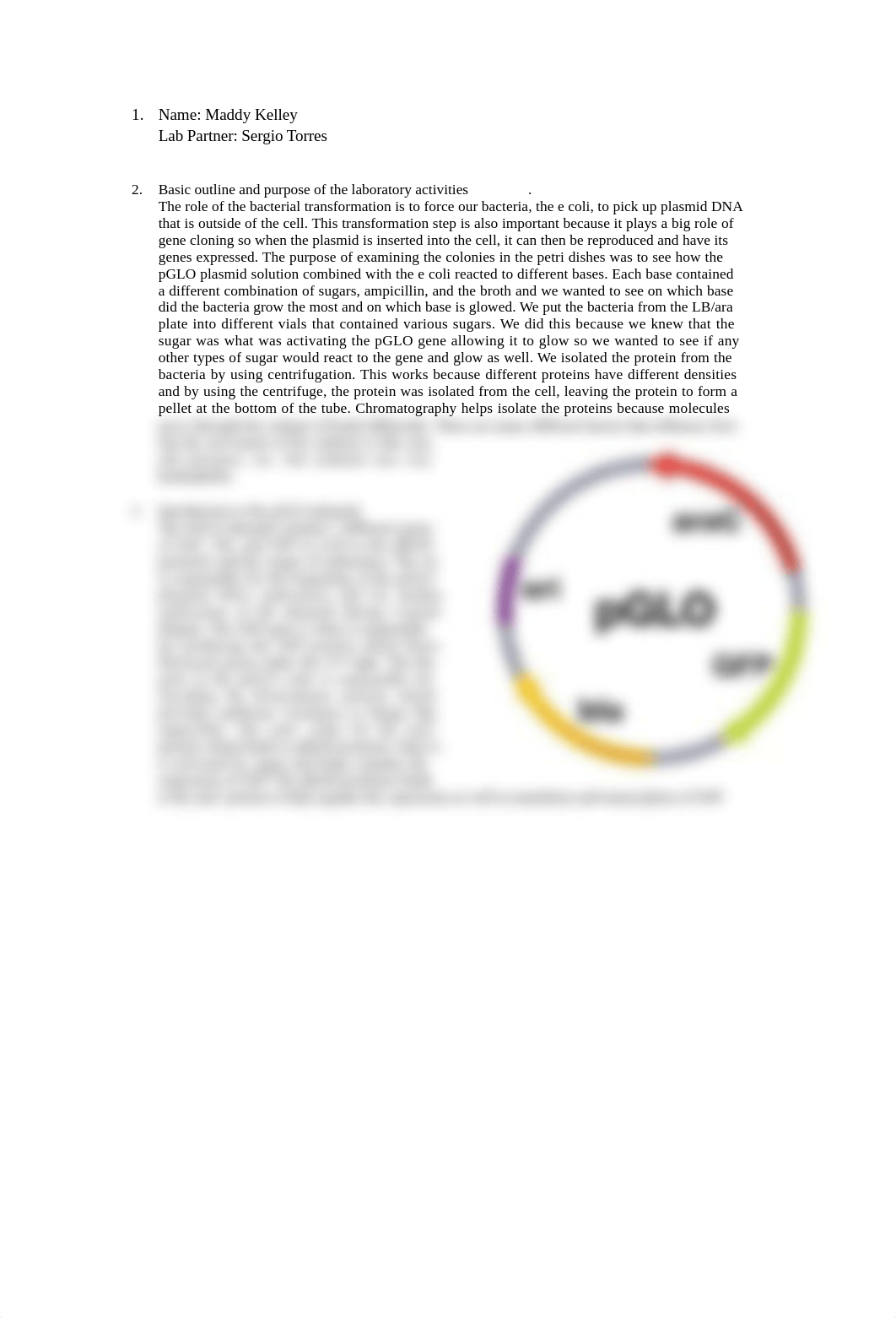 pGLO Lab Write Up.docx_dc5t8rfgrwm_page1