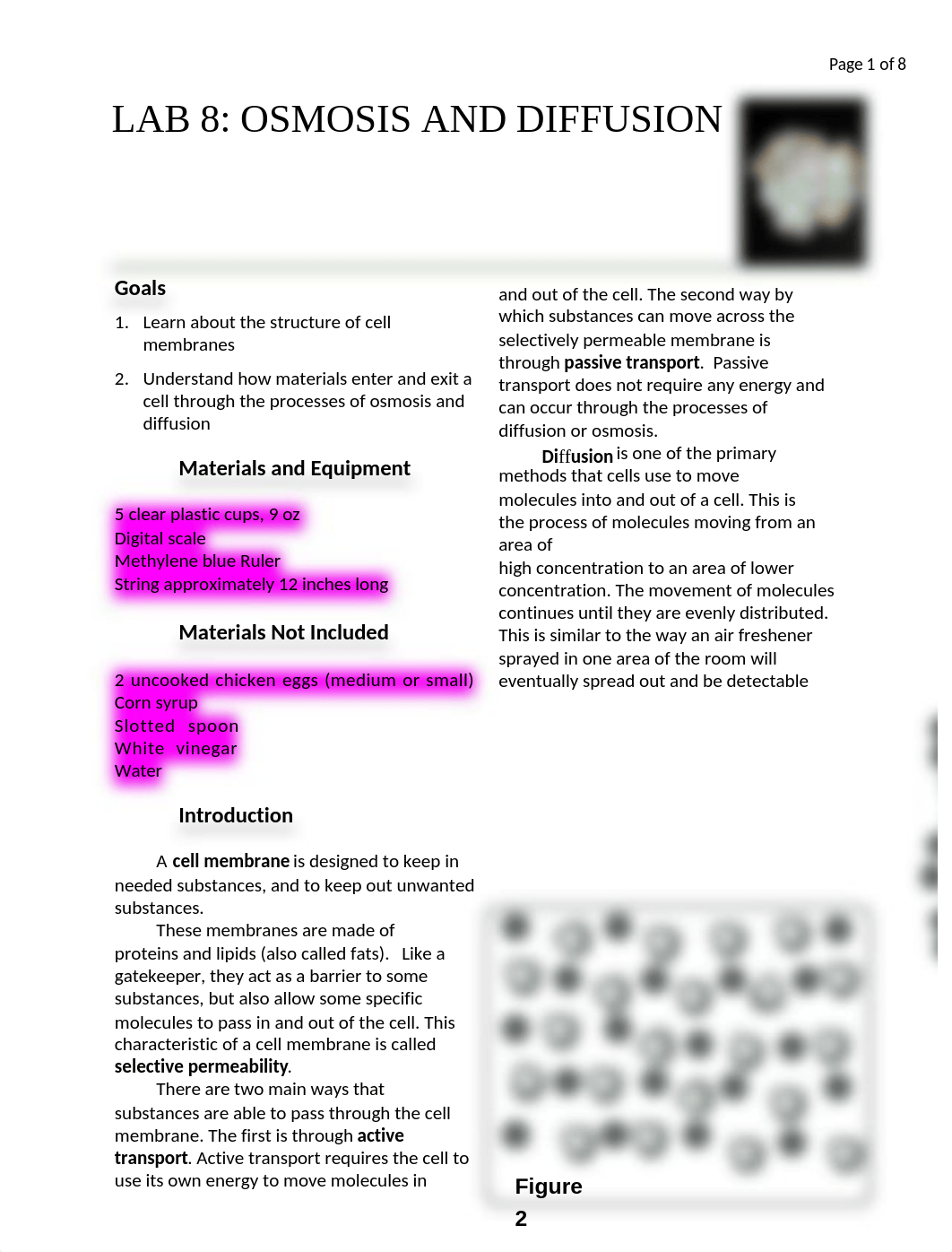 OSMOSIS_AND_DIFFUSION_LAB_HANDOUT-1.docx_dc5xr613mpk_page1