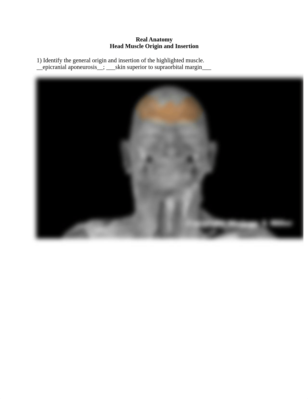 3. head_muscle_origin_and_insertion_Worksheet (1).docx_dc61kx4pv2t_page1