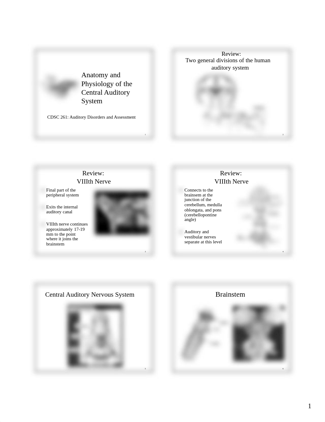 Anatomy and Physiology of the Central Sy Notes_dc624u6ab78_page1