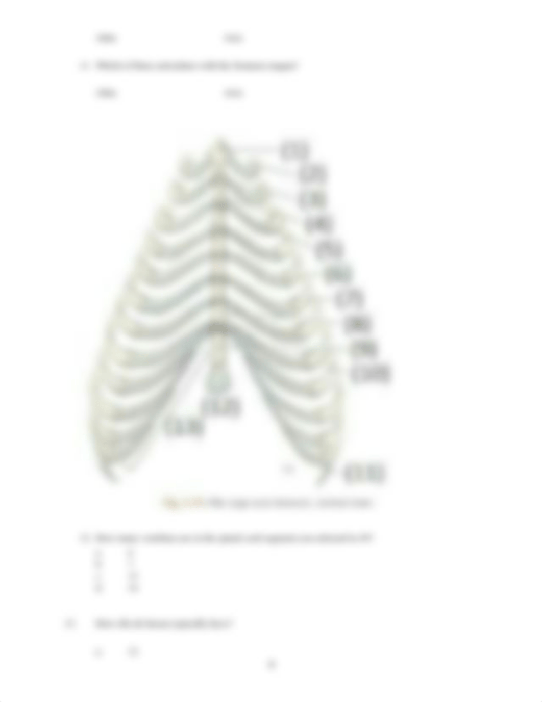 ASSN 3.1 Identifying Bone and Associated Structures.docx_dc65i4pckap_page4