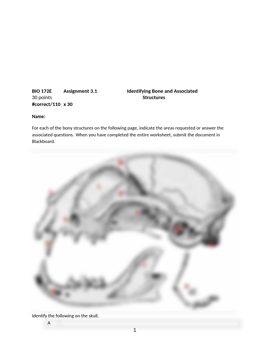 ASSN 3.1 Identifying Bone and Associated Structures.docx_dc65i4pckap_page1