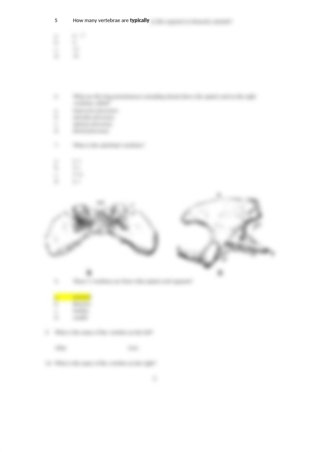 ASSN 3.1 Identifying Bone and Associated Structures.docx_dc65i4pckap_page3