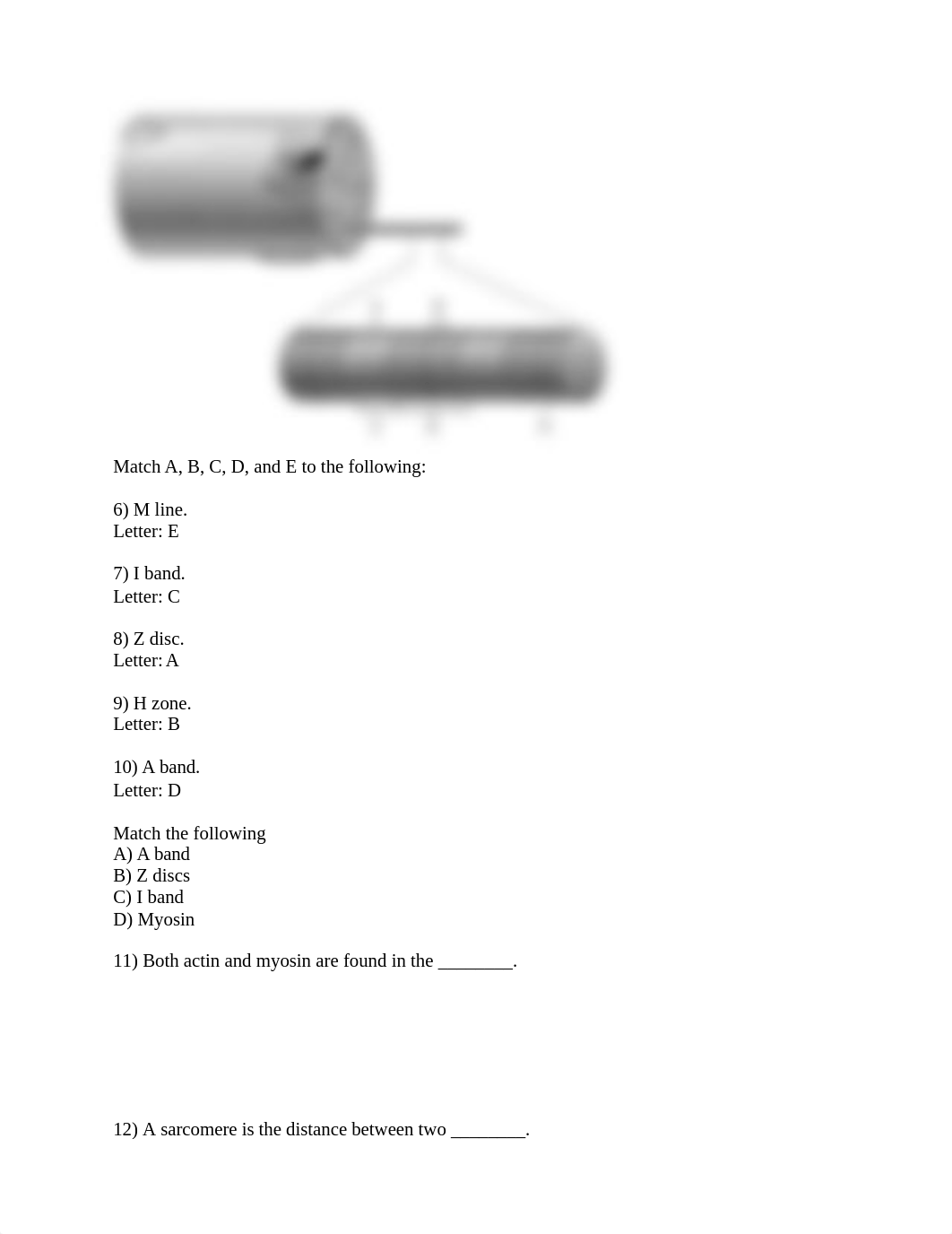 Ch. 9 Quiz 15 Muscles and Muscle Tissue (1).docx_dc65luuud2p_page2