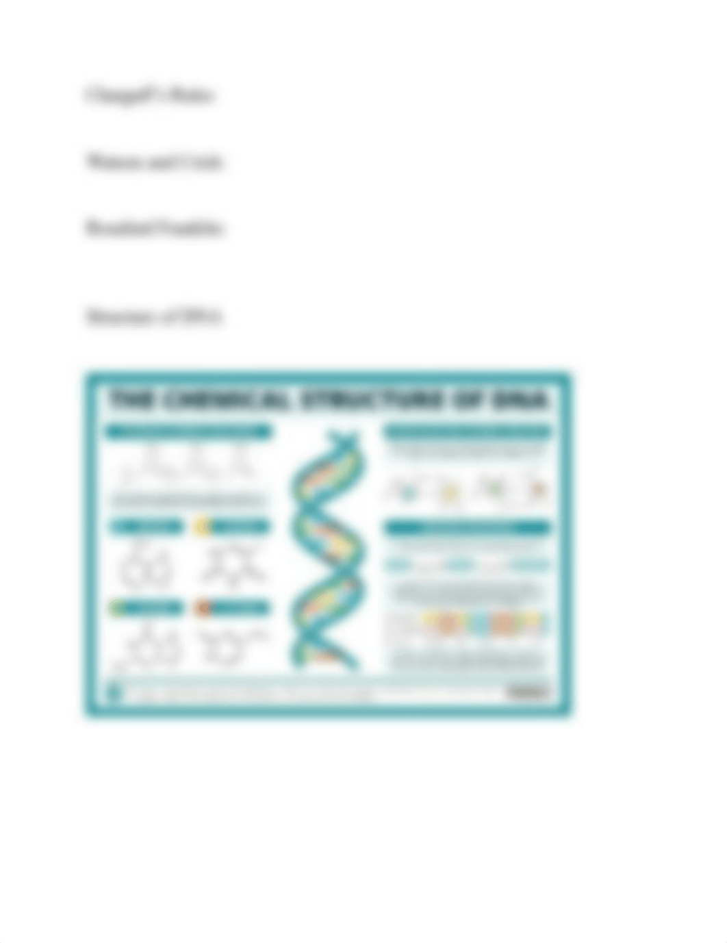 BIO 112 Exam 3 study guide - online - updated - part 1.doc_dc6fxk711e4_page3