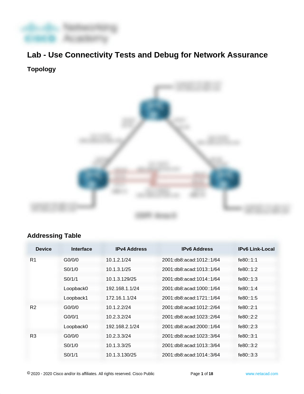 24.1.2 Lab - Use Connectivity Tests and Debug for Network Assurance.docx_dc6sqdphhd4_page1