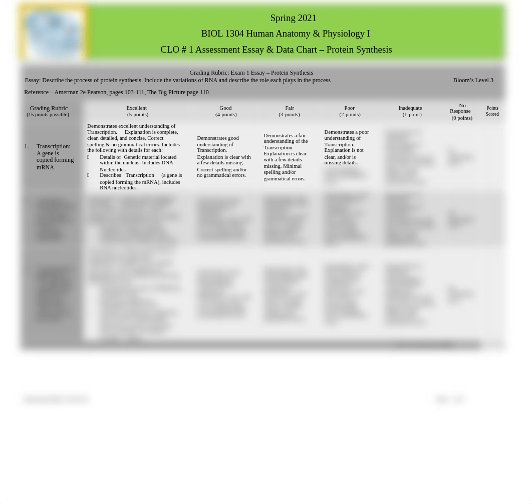 Exam 1 - Assessment Rubric & Data Chart -CLO#1PtnSyn (S21).docx_dc6vp7jpvs6_page1