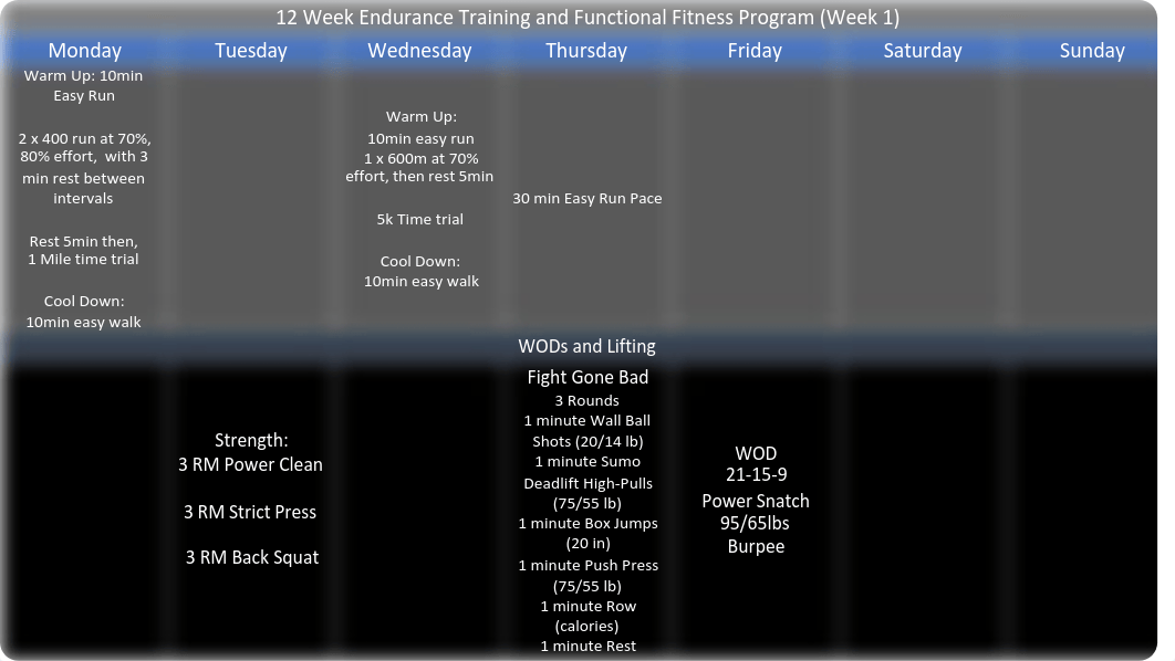 12 Week Endurance Training and Functional Fitness Program (Part 1).pdf_dc6w87jnfgd_page1