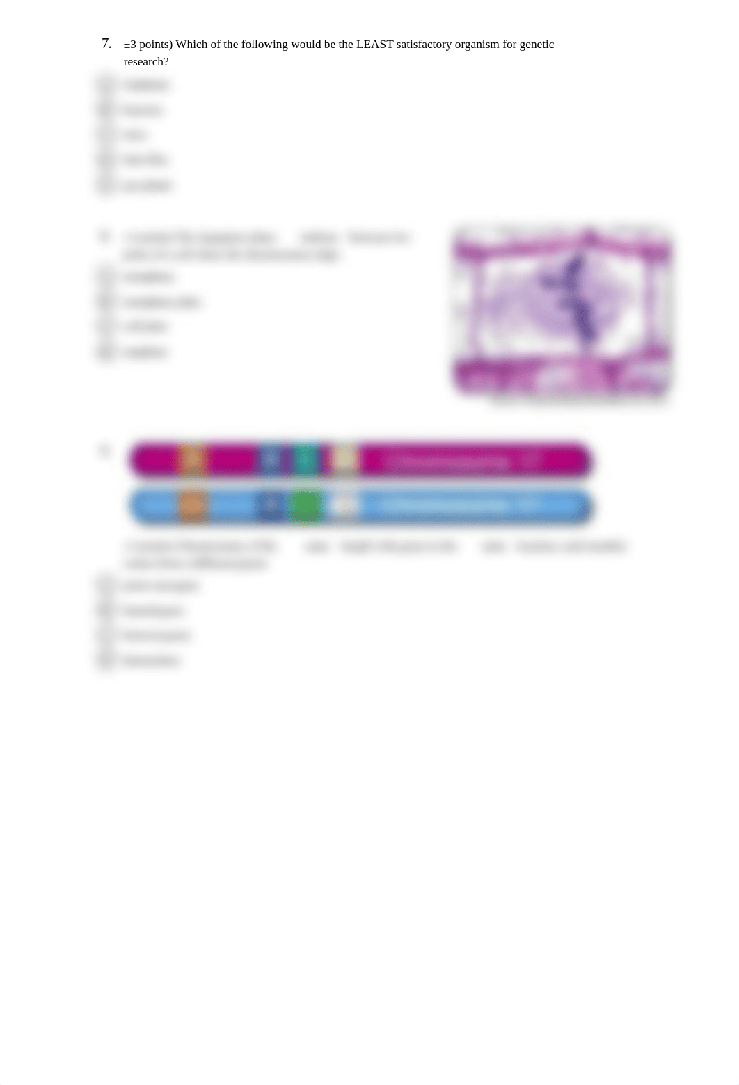 BIO156-OpenStax Concepts of Biology-Exam 03-Chapters 6, 7, & 8.pdf_dc78zdiem94_page3