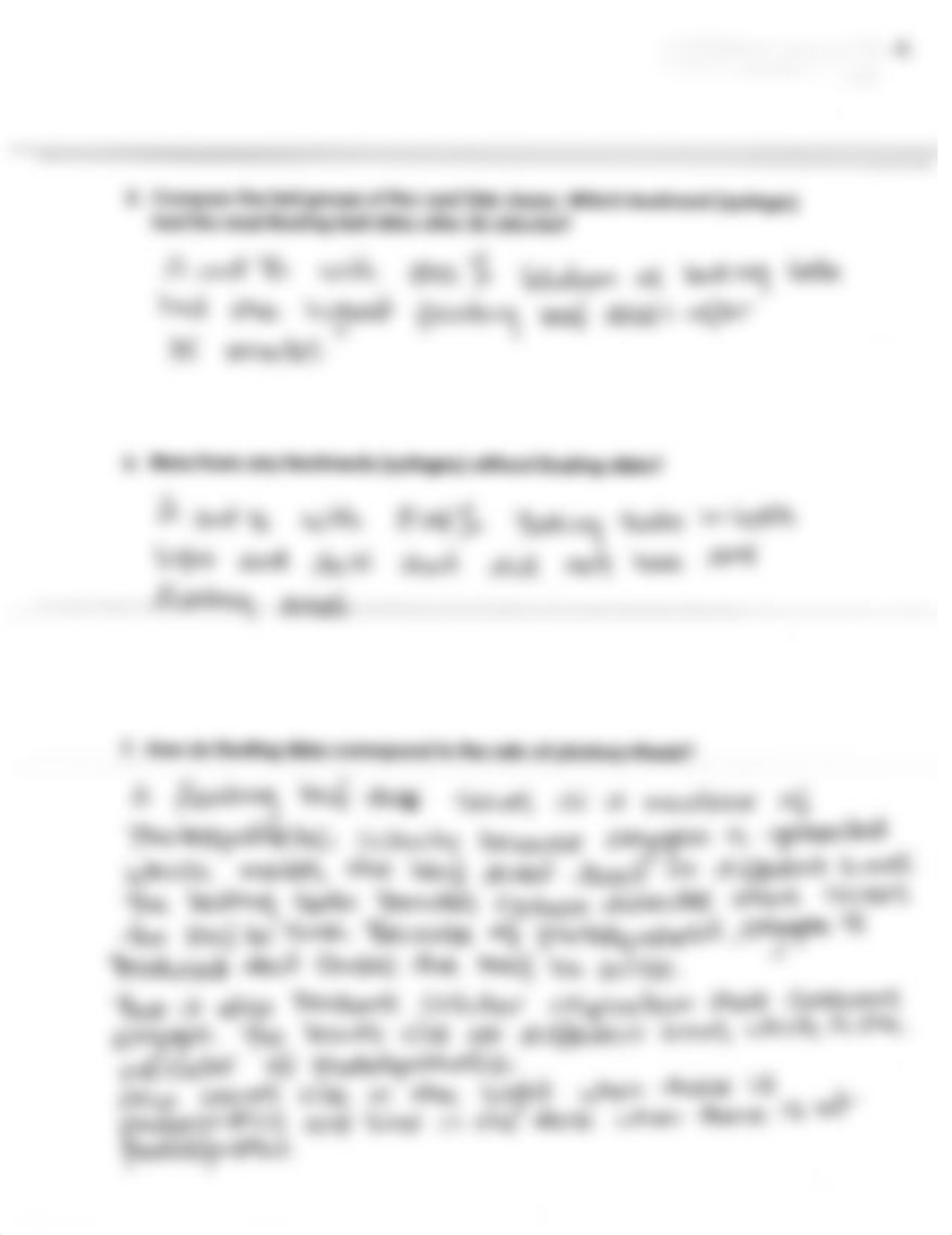 EXPLORING PHOTOSYNTHESIS AND PLANT PIGMENTS.pdf_dc7d0sln9bm_page5