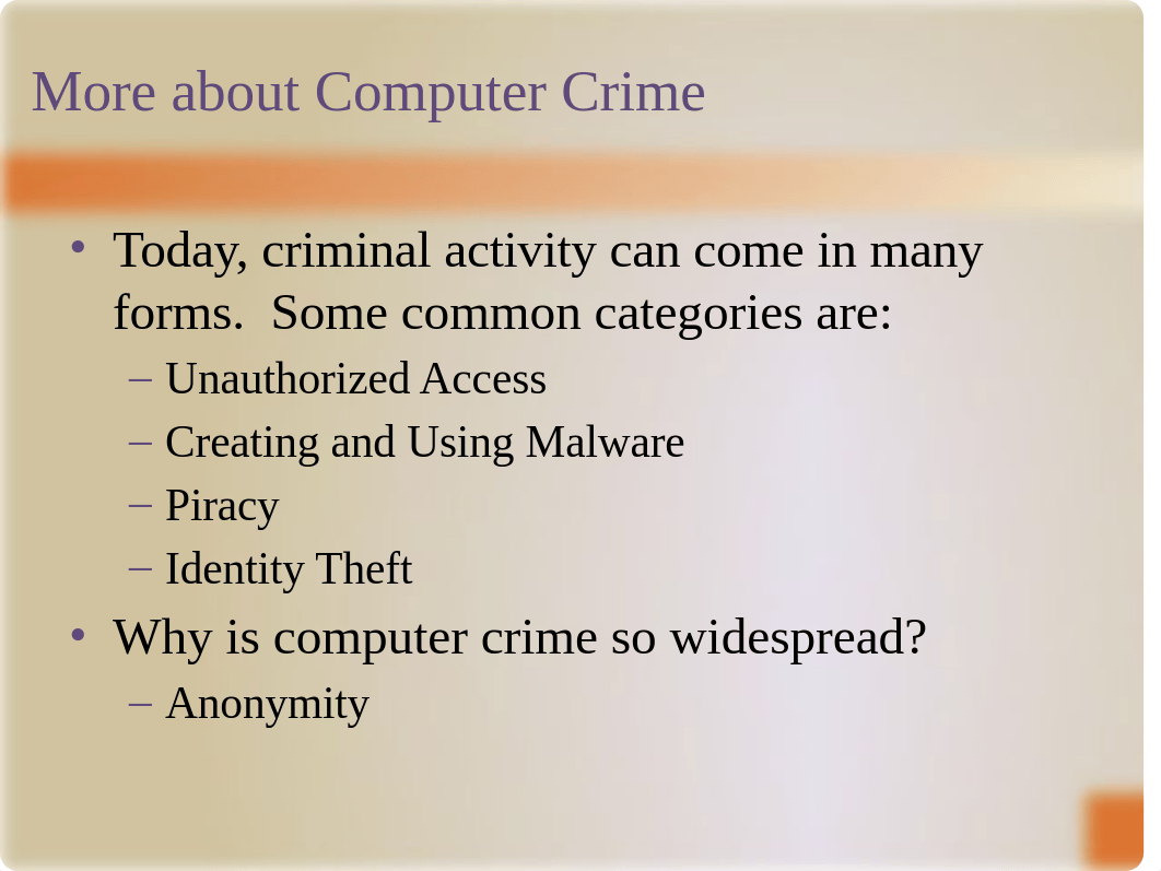 The Internet and Issues of Identity Theft and Fraud_dc7gz27srna_page4