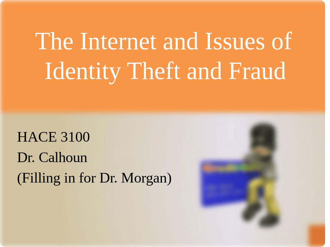 The Internet and Issues of Identity Theft and Fraud_dc7gz27srna_page1