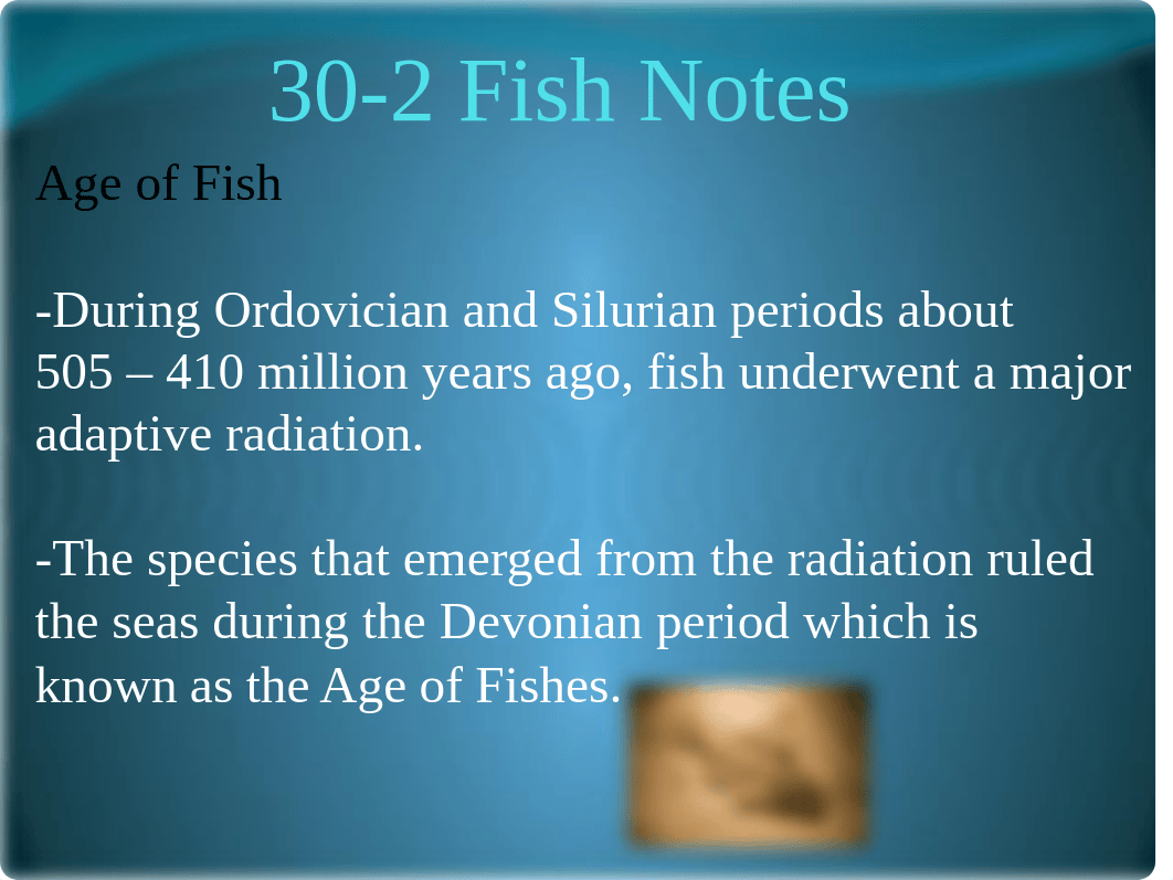 30-2 Fish Notes.pptx_dc7i1humfpx_page4