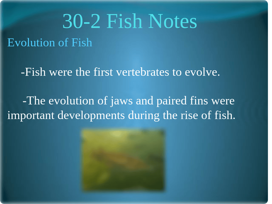 30-2 Fish Notes.pptx_dc7i1humfpx_page2