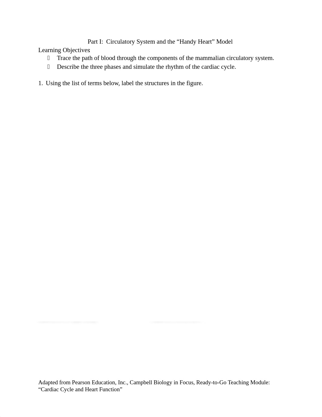 Circulatory and Respiratory Systems Lab Bio 102.docx_dc7klvz40gj_page2