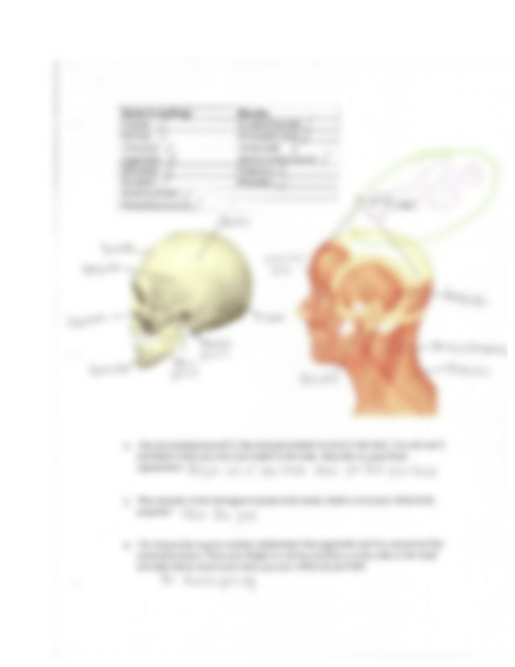 Muscle Lab (Head, Neck, & Face)_dc7pioael6w_page2