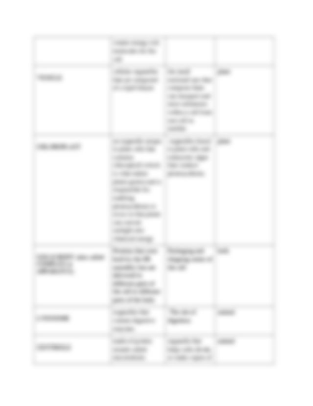 Cell Organelle Work Sheet_dc7sv2630j2_page3