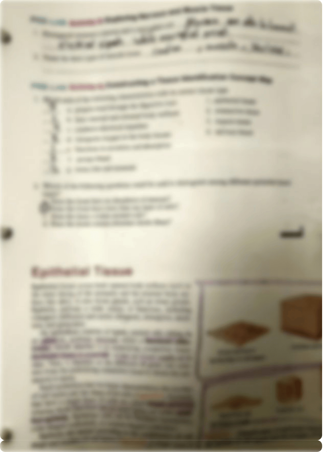 Ch.6 histology Pre-Lab.pdf_dc86ear525b_page2