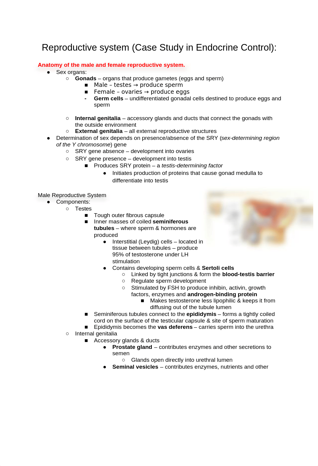 Final Exam Study Guide.docx_dc86ezhfcwi_page2