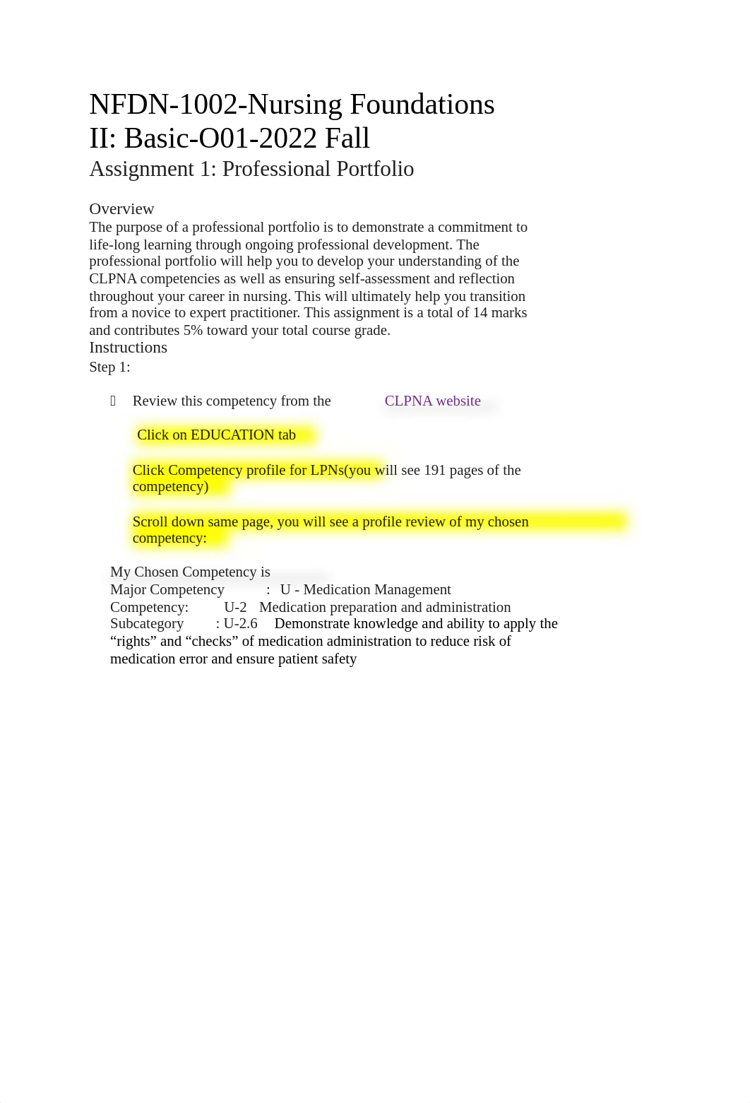 NFDN1002 professional portfolio assignment Instruction.docx_dc89e4y5jb8_page1
